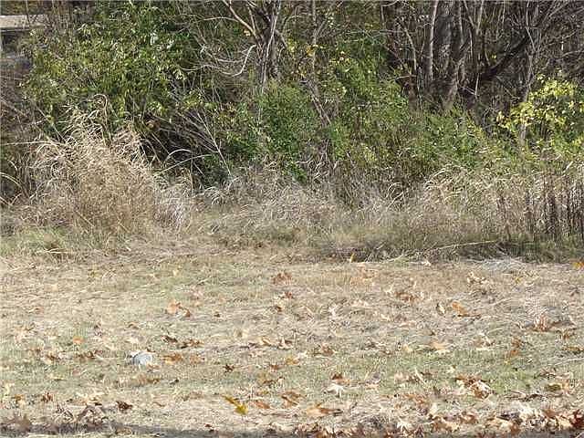 1st image of 895 Beaver Creek Dr