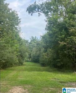 0 Oneal Dr #9-10-19, Calera, AL, 35040