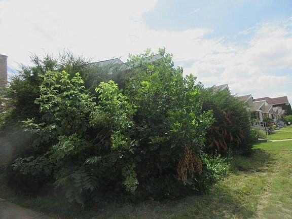 2nd image of 3709 W 66th Pl