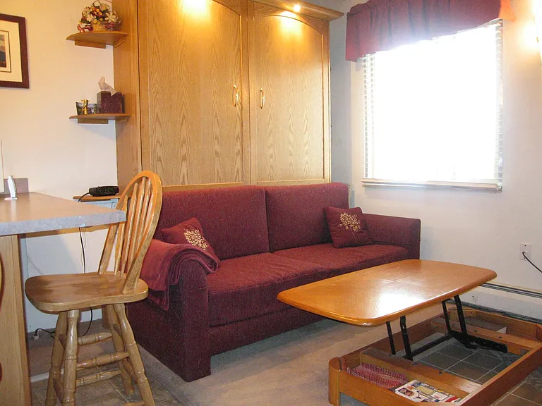That's a Murphy wall bed behind the sofa. Read how it works.