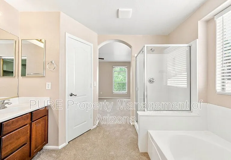 29785 N Blackfoot Daisy Dr — Photo 13