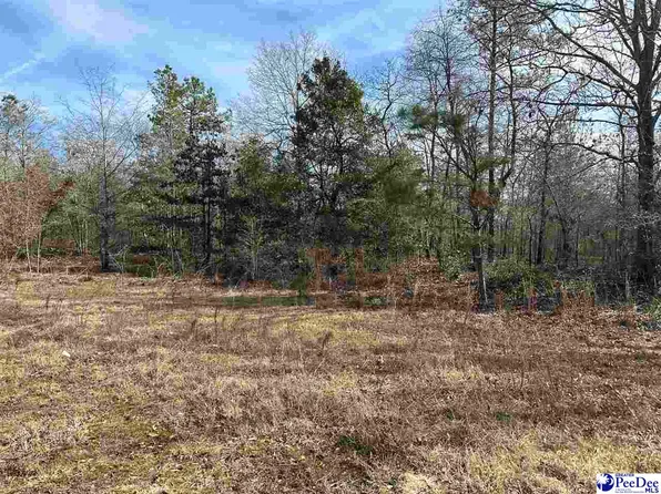 8209 Highway 102 #8.9, Patrick, SC 29584