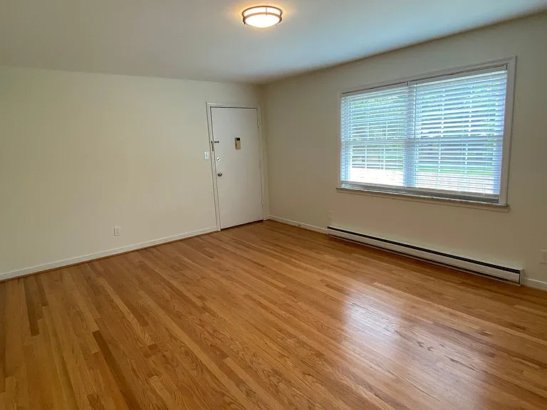 4509 Forest Hill Ave #1 — Photo 7