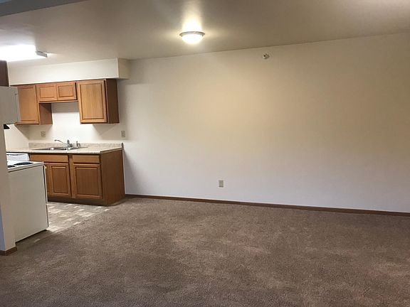 4th image of 1133 Michigan Ave E APT 1