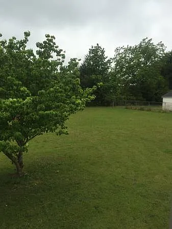 4 bed, 2000 sqft, $1,800 — Photo 2