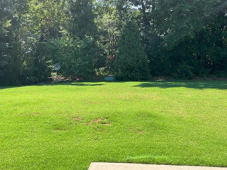 459 Summer Ranch Dr — Photo 36