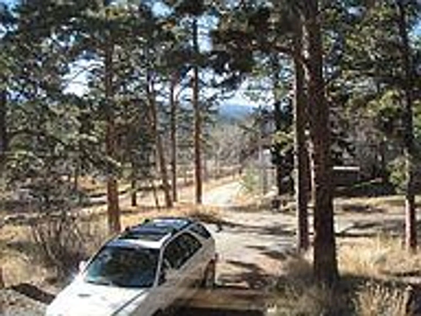 Cozy Mountain Home — Photo 3