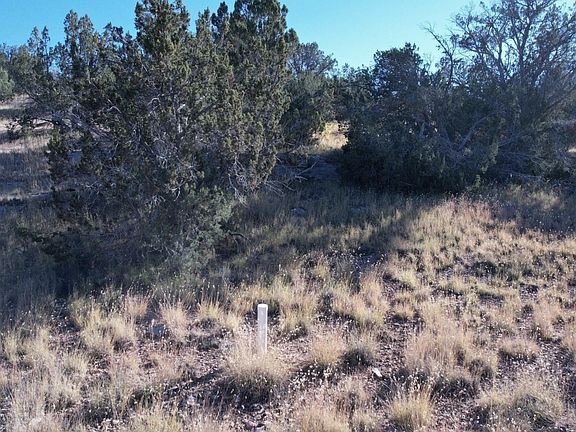 5th image of 30863 W BASCONIA Road #4315