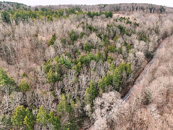 3rd image of 525 Meeghan Rd