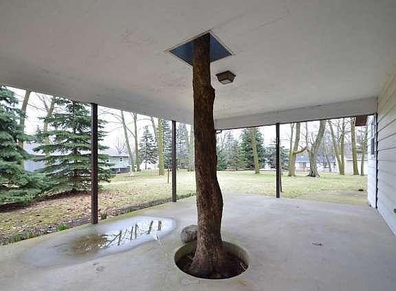 3rd image of 986 W Acorn Dr