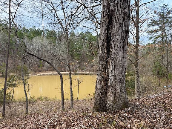 4th image of 265 Whittington Rd