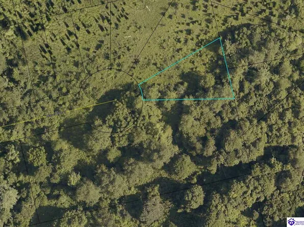 LOT-12A Webster Ridge Ct, Vine Grove, KY 40175