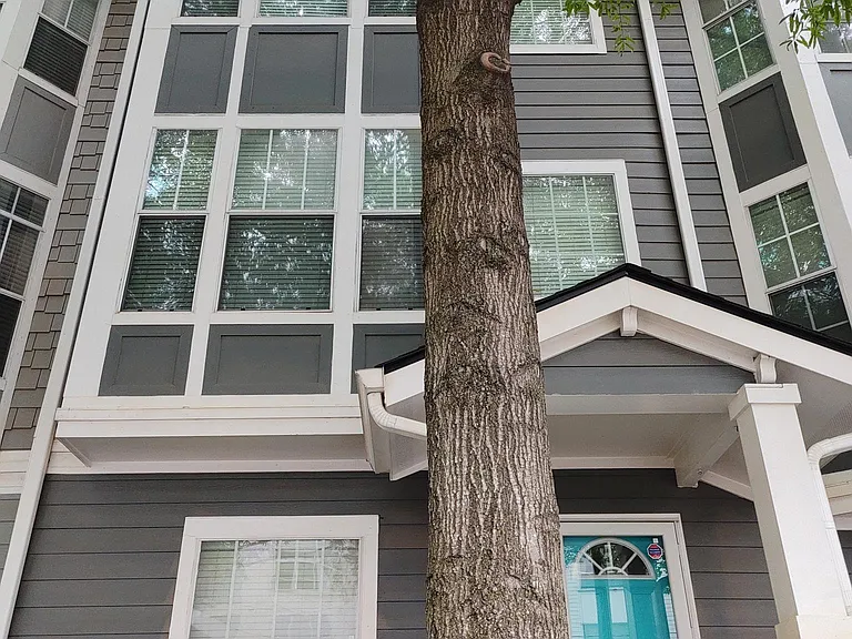 Park Row N — Photo 20
