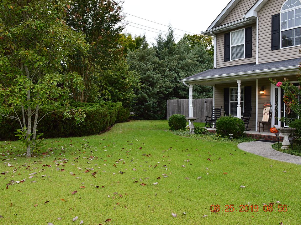 Front yard-Zoysia grass