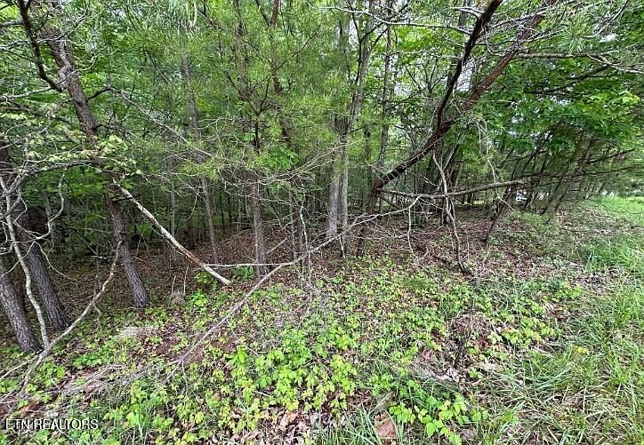 2nd image of 110 & 112 Forest Hill Dr