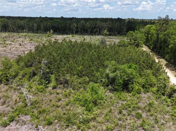 2600 County Road 4800, Warren, TX 77664