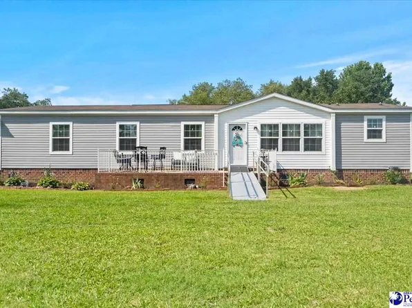 9760 Douglas Swamp Rd, Lynchburg, SC 29080
