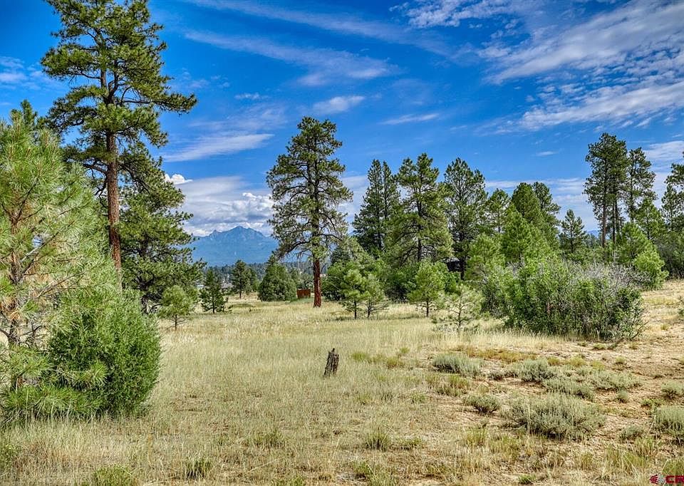 1362 Cool Pines Dr, Pagosa Springs, CO 81147 | MLS #806560 | Zillow