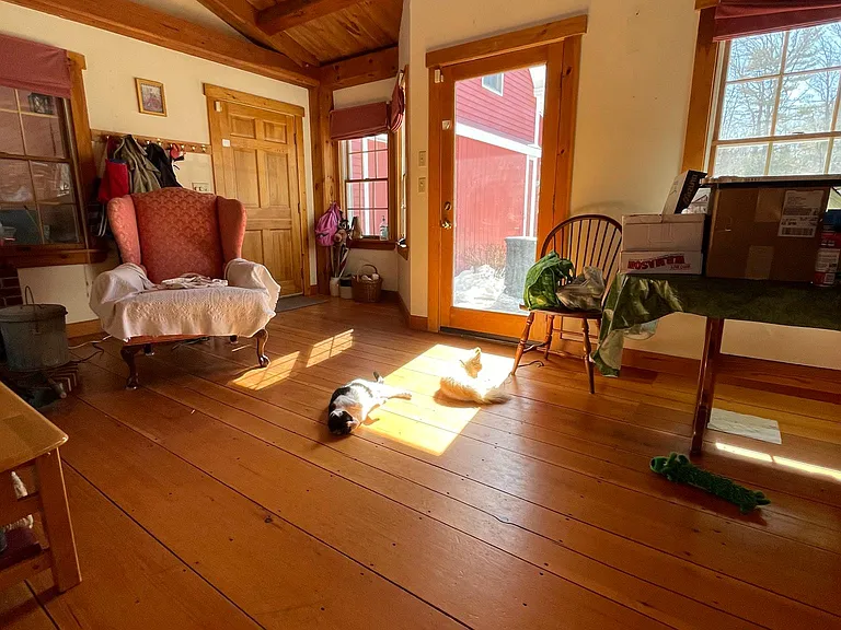 Family Room- pets love the sun from the south