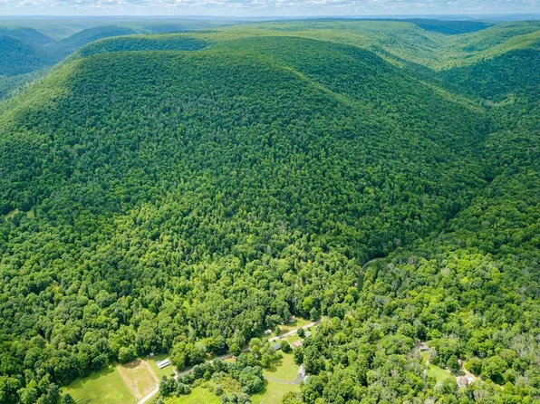 0 Straight Run Rd, Wellsboro, PA 16901