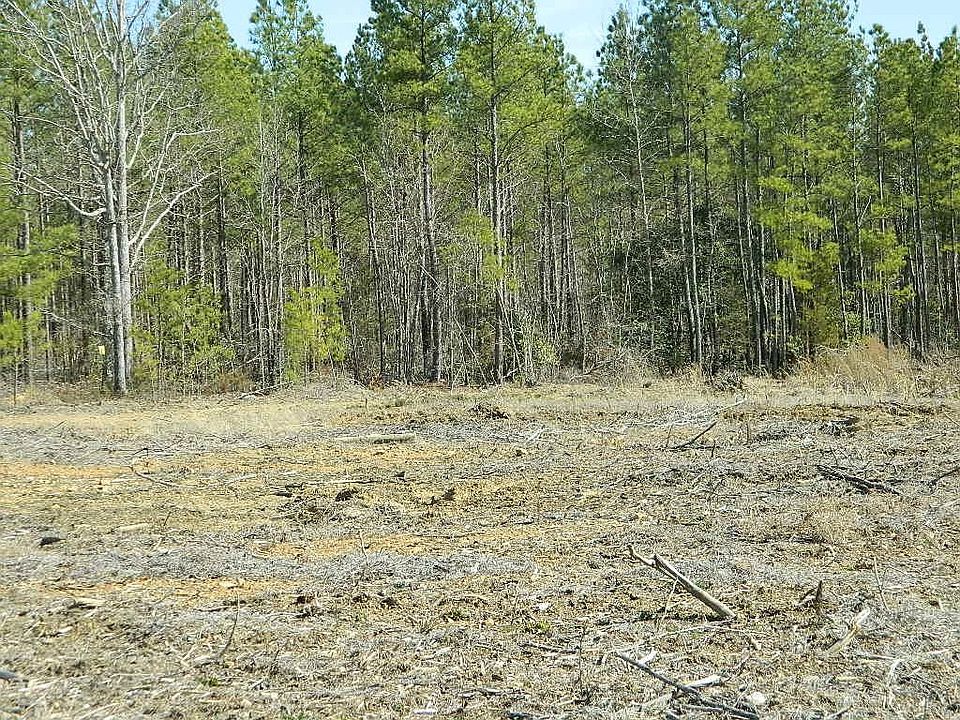 2nd image of LOT 2 State Highway 902