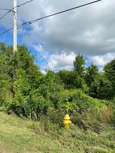 0 Holley Rd #21, Albion, NY, 14411
