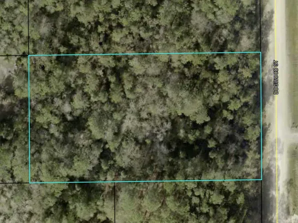 2366 DOGWOOD Street, Bunnell, FL 32110