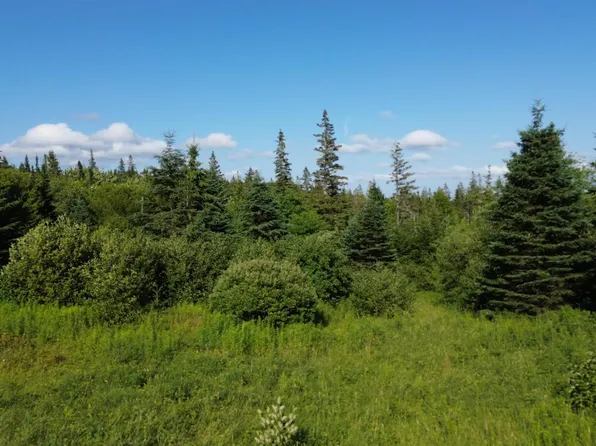 Black River Rd, Grande Anse, NS B0E