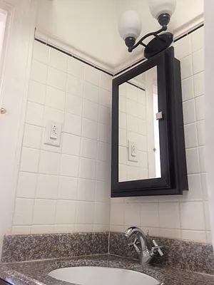 Rented by Rapid Realty Cobble Hill | media 12