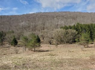 0  Maples Rd, Ellicottville, NY 14731
