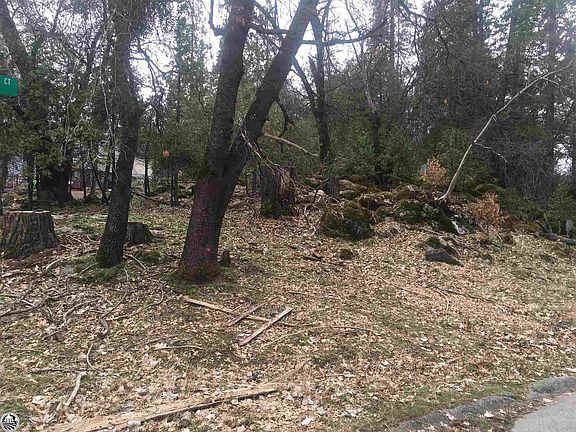 2nd image of 21769 Rogue River Ct