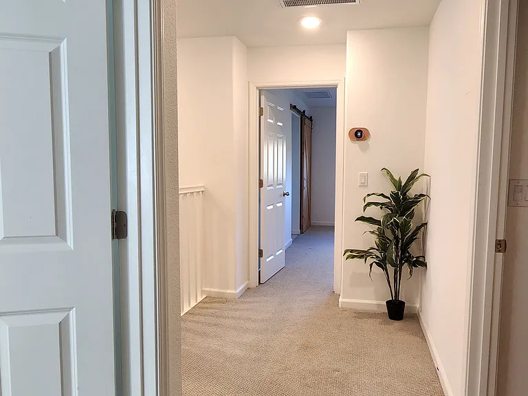 3342 Jackrabbit Ct — Photo 19