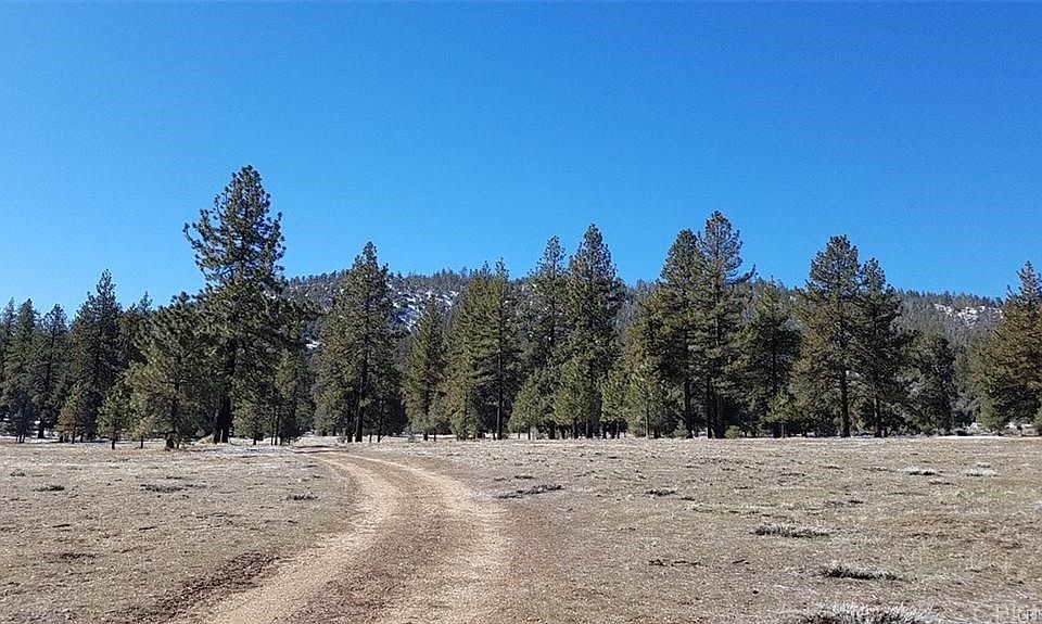 1st image of 10878 Forest Edge Ln