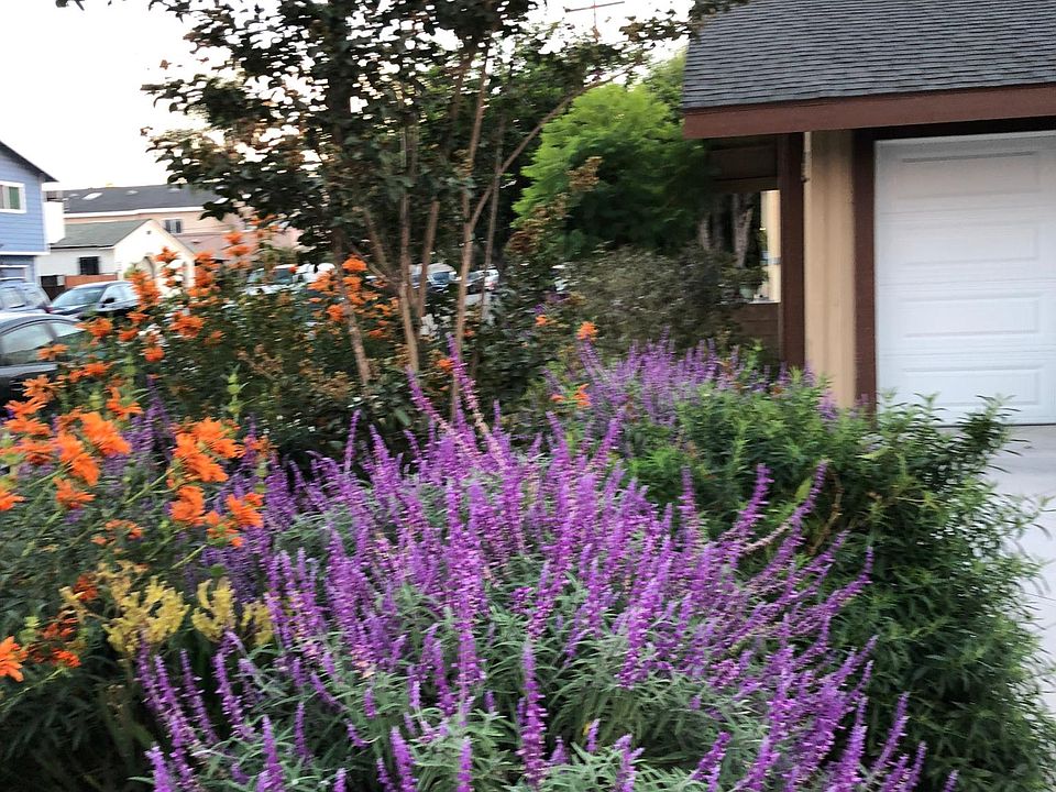 Beautiful landscaping