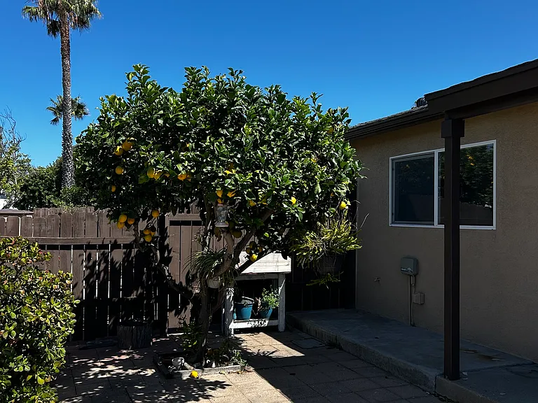 3324 Clairemont Mesa Blvd — Photo 11