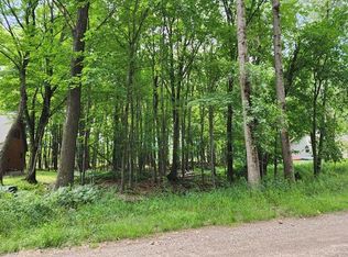 9249 White Birch Dr, Stanwood, MI