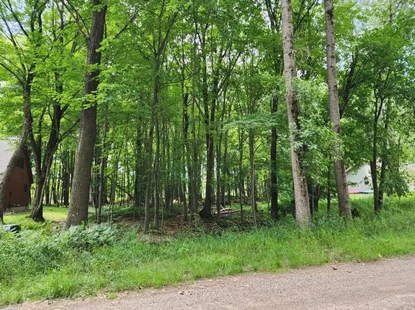9249 White Birch Dr, Stanwood, MI 49346