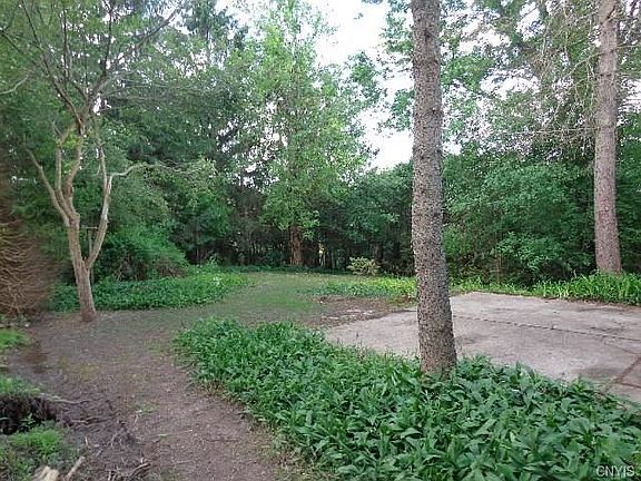 4th image of 8206 Old Sunridge Dr