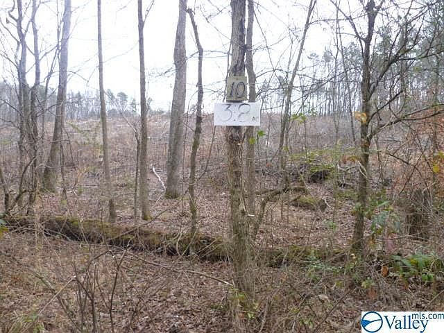 2nd image of 10 County Road 88