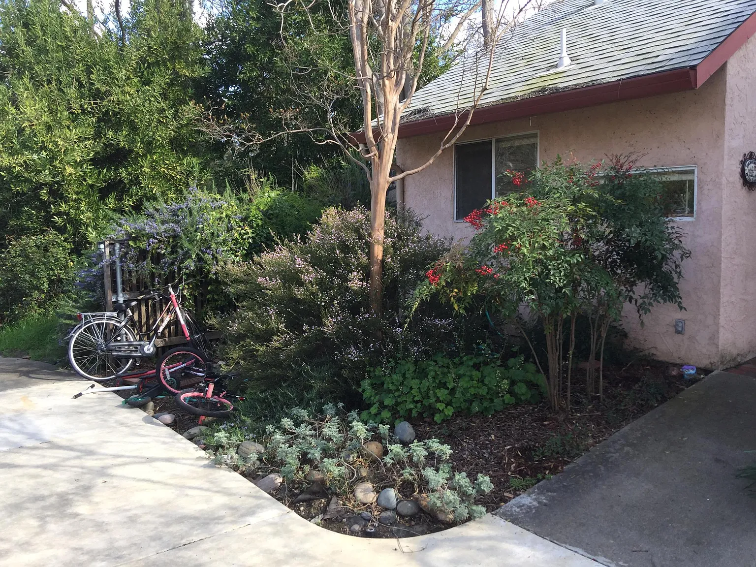 Shasta Dr, Davis — Photo 2