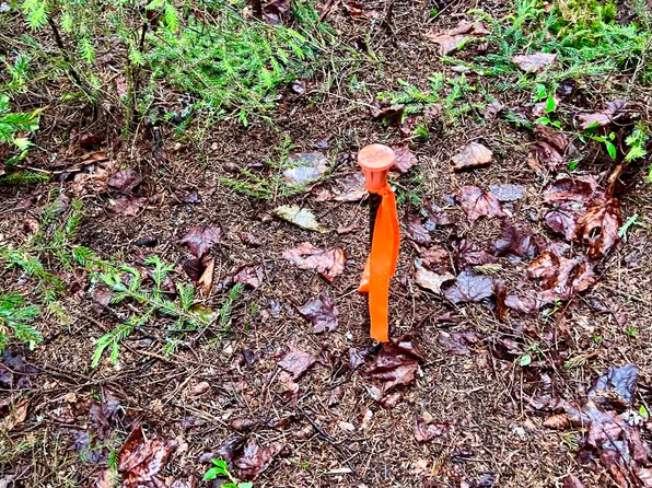 0 Parkview Road, Southwest Harbor, ME 04679