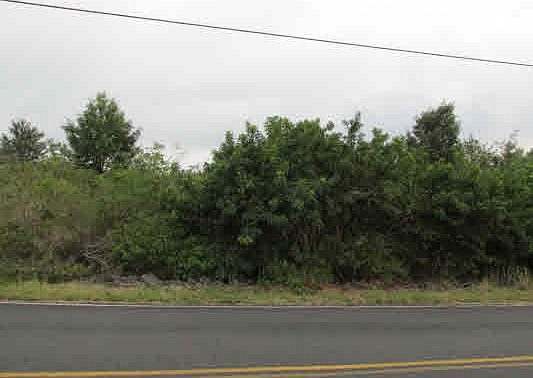 2nd image of King Kamehameha Blvd Lot 25