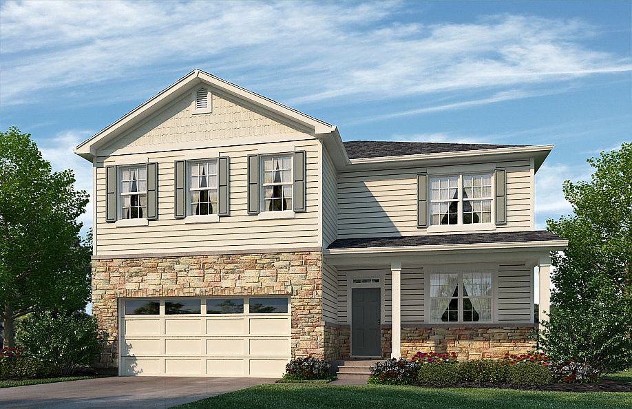 Elevation Image 1.