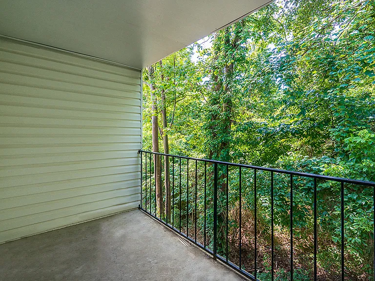 Savannah Creek — Photo 9