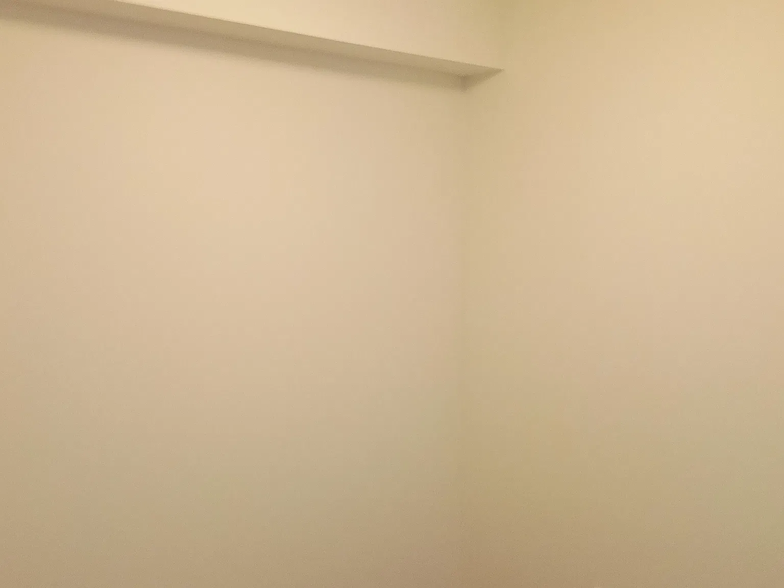 2 bed, 1000 sqft, $3,000 — Photo 4