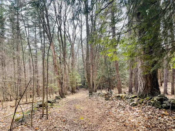 0 Lackey Hill Road, Wardsboro, VT 05355