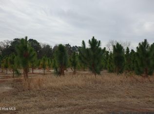 Lot 43 Stuarts Mill Road, Fairmont, NC 28340