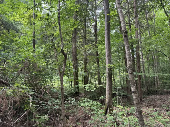 0 Denton Rd Lot 9, Linden, TN 37096