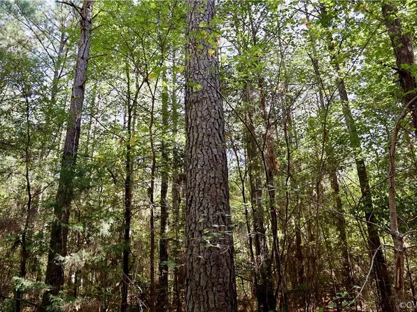 0 Wyatt Rd, Stony Creek, VA 23882