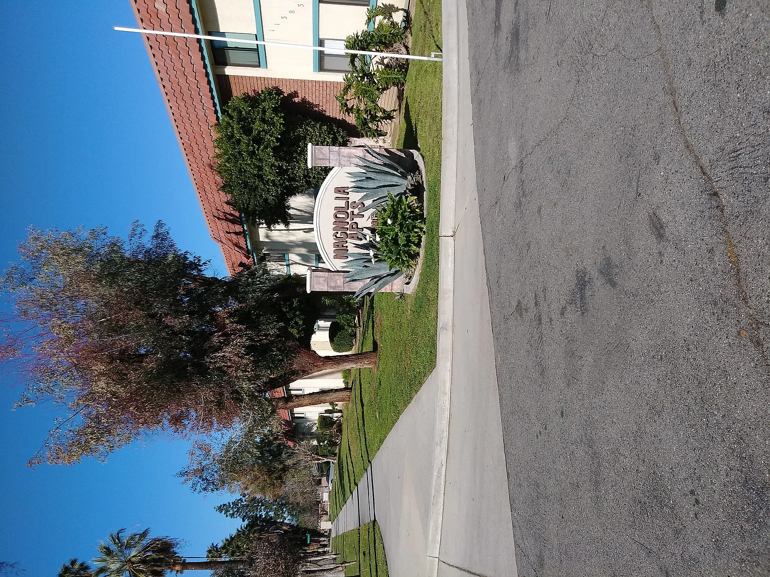 Magnolia Apartments — Photo 3
